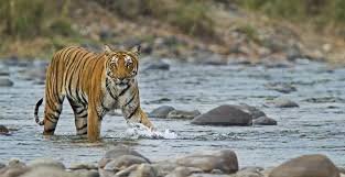 Nainital Jim Corbett Tour Package